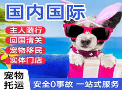 海北祁连机场托运国际宠物托运 【国